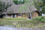 img0012.jpg