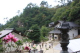 img0020.jpg