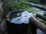 img0025.jpg