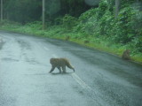 img0028.jpg