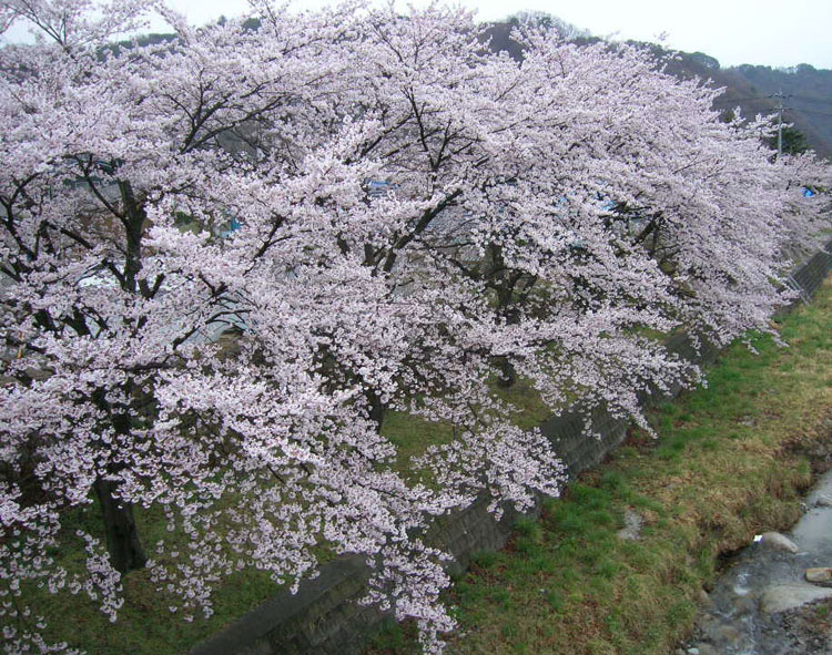 03.jpg