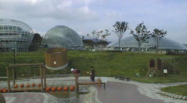 9910027.jpg (32892 バイト)