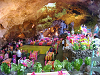 img0082s.png