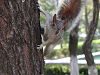 img1015s.png