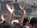 P3220016_thumb.jpg