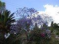 P3220039_thumb.jpg