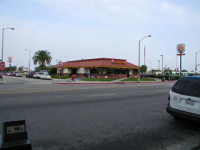 P3250041.JPG
