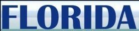 fllogo.jpg (5346 バイト)