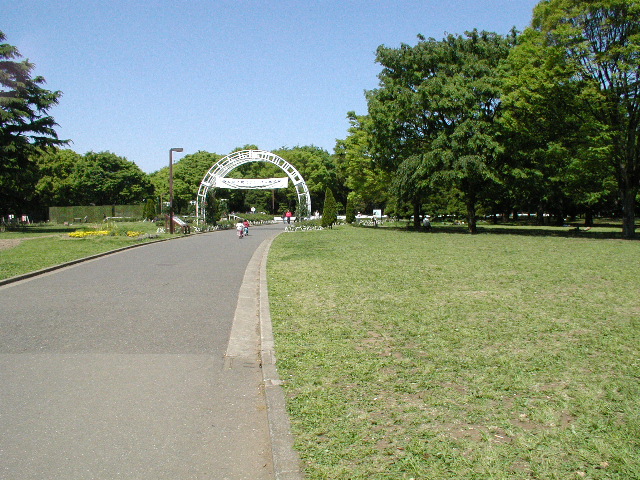05.JPG
