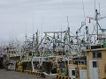 P9230012_thumb.jpg