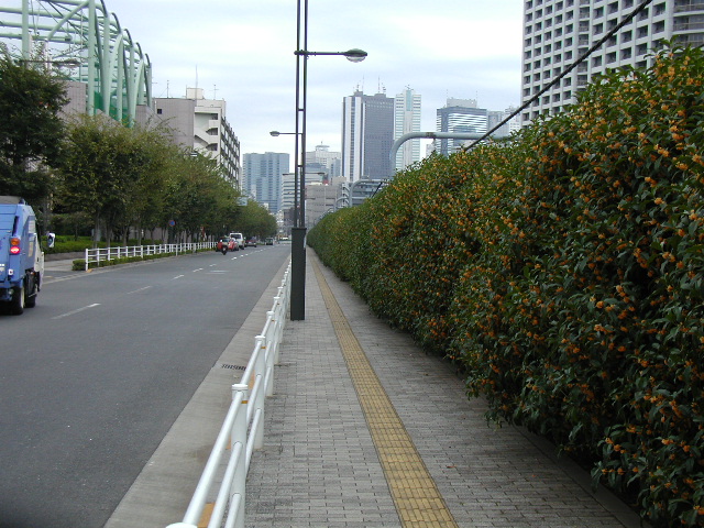 19.jpg