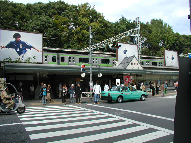 24.jpg