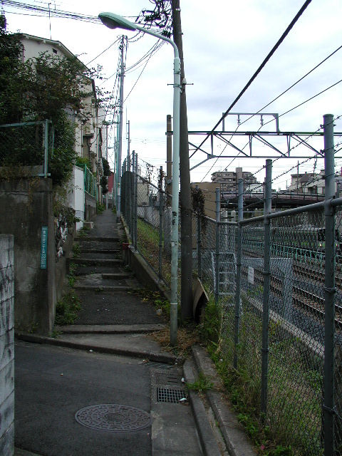 62.jpg