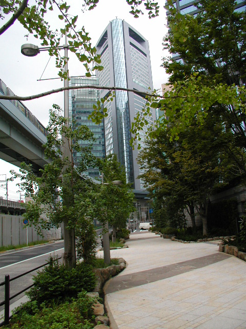 08.jpg