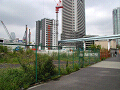 09.jpg